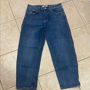 Lovervet by Vervet Barrel-Cut Jeans